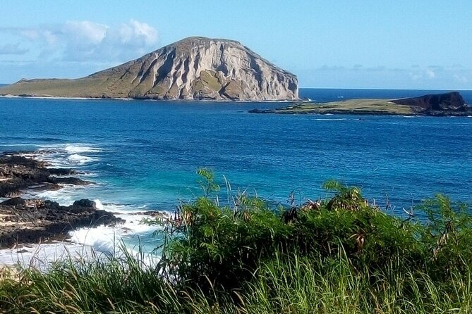 Full Day Oahu Tour with Byodo Temple & Waimea Waterfalls - Waimea Falls Arboretum: the paved walk and the cold swim payoff