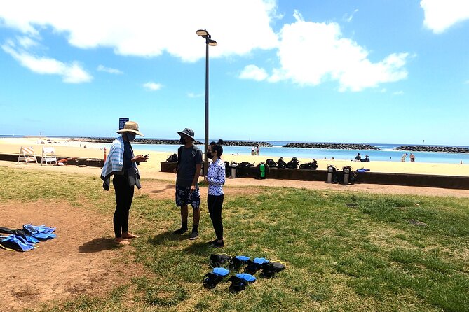 Guided Snorkel Tour for Beginners in Honolulu - Where you go, and what the timing feels like