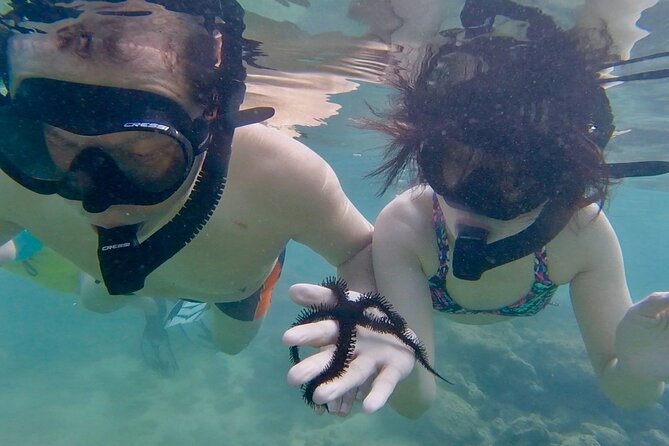 Guided Snorkel Tour for Beginners in Honolulu - Price and value: why $59 can make sense