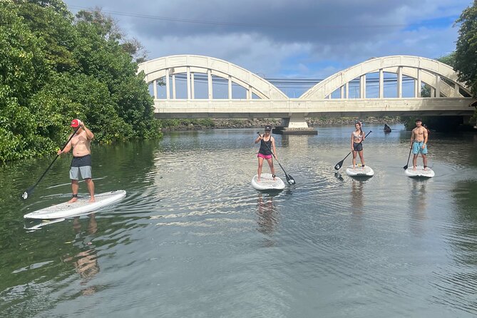 Haleiwa River Paddle Board Rental with Blue Planet Adventure Co. - Who this paddle rental suits best (and where it might not)