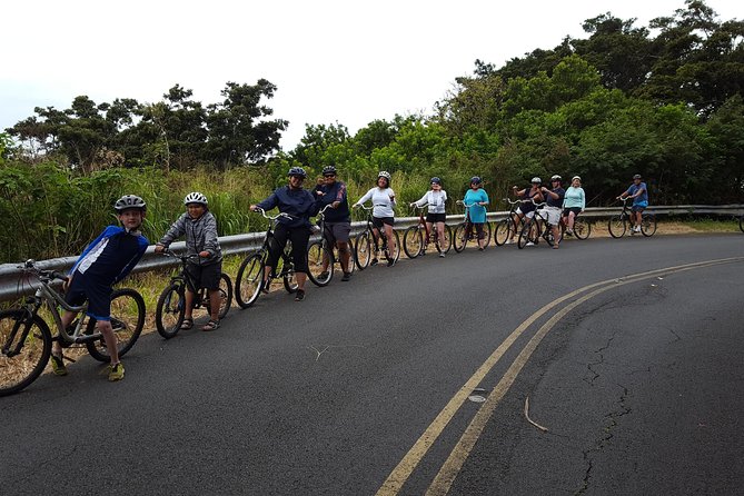 Half Day Oahu Combo Adventure: Bike, Sail and Snorkel - Snorkeling for fish and turtles: what to expect when you get in