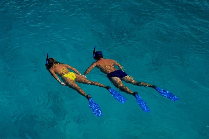 Half Day Oahu Combo Adventure: Bike, Sail and Snorkel - The 5-mile bike downhill: scenery first, speed kept sane