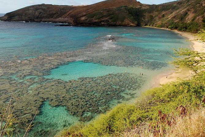 Hanauma Bay Snorkeling - Meeting Points That Actually Work (If You Pay Attention)