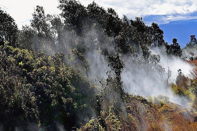 Hawaii Volcanoes National Park Experience Departing from Oahu - Greenwell Farms: Kona coffee with real volcanic context