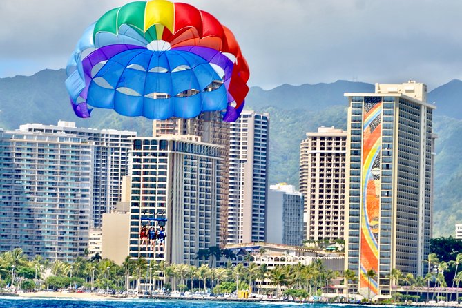 Hawaiian Parasail Since 1977 - Wildlife Spotting: Dolphins, Turtles, and Seasonal Whales
