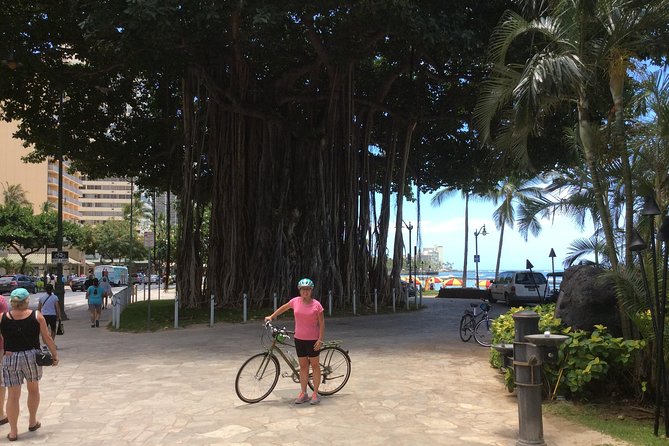 Historical Honolulu Bike Tour - Meet at Kuhio Beach Banyan Tree for a Smooth 7:00am Start