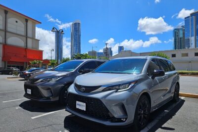 Honolulu Airport, Cruise Port and Hotels Private Transfer - Cruise port and Waikiki pickups: the 20-minute wait rule