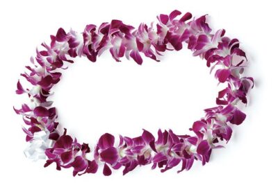 Honolulu Airport: Waikiki Private Transfer With Lei Greeting - The Arrival Flow: How Pickup Works in Real Life
