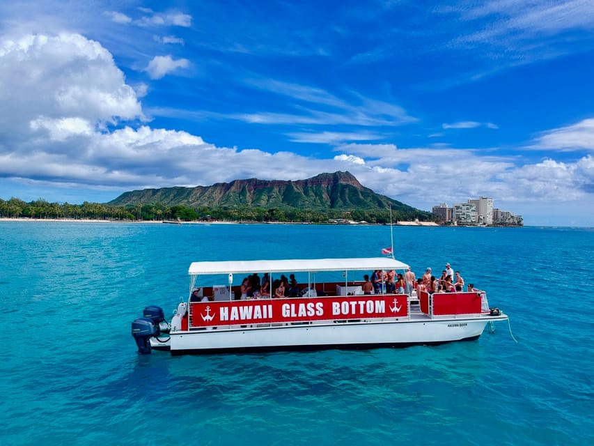 Honolulu: Glass Bottom Boat Tour along Oahu's South Shore - Reefs, a Shipwreck, and the Wildlife You’ll Hope to Spot