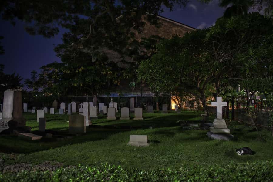Honolulu Haunts: Ghosts and Spirits Walking Tour - Night Marchers, Warriors, and the Two-Culture Clash