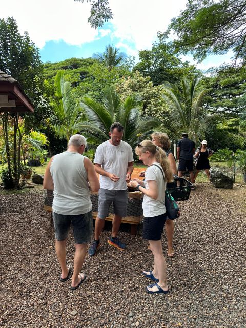 Honolulu: Highlights of Oahu Small Group Tour - Makapuʻu whales (seasonal) and the Jurassic-to-Hawaii Five-0 movie vibe