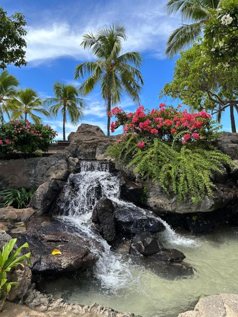 Honolulu: Highlights of Oahu Small Group Tour - Waimanalo and the macadamia farm break: a quick taste with legs