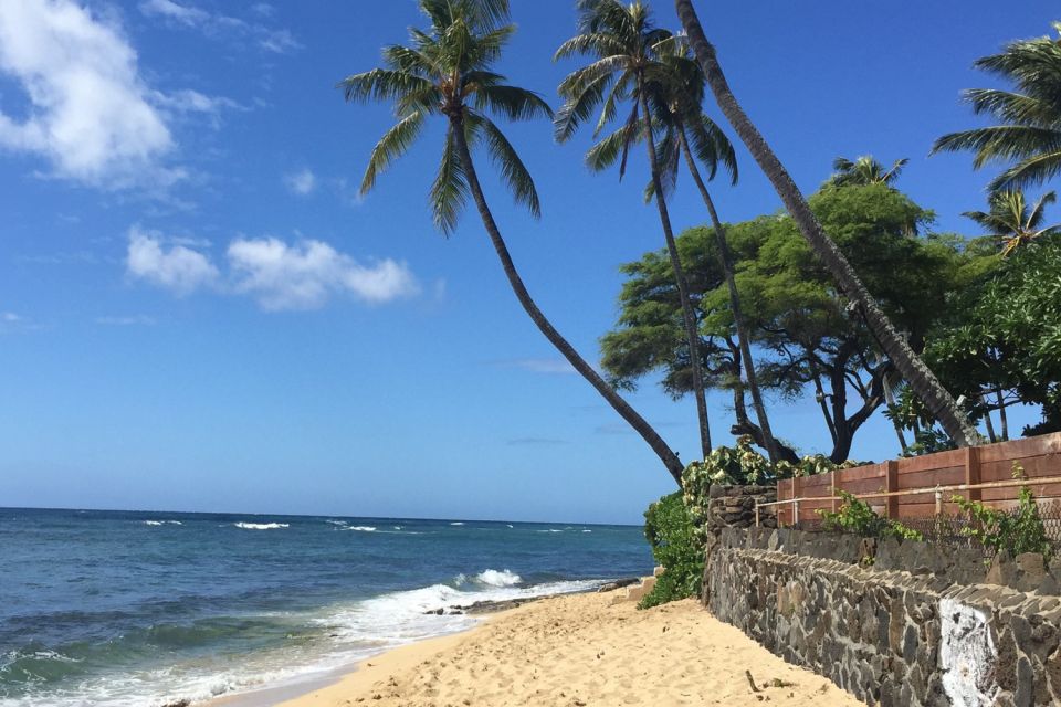 Honolulu: Highlights of Oahu Small Group Tour - Kahuku food trucks for lunch: buy what you crave
