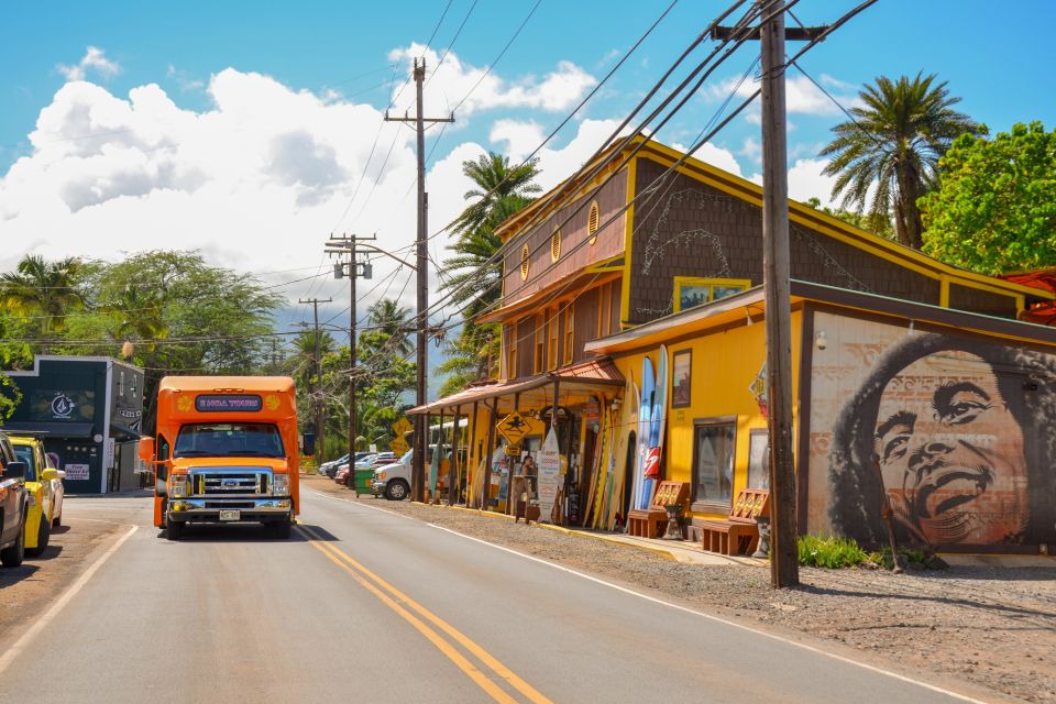 Honolulu: Oahu Island Full-Day Guided Tour by Bus with Lunch - Dole Plantation: pineapples, sugarcane, and extra-cost add-ons