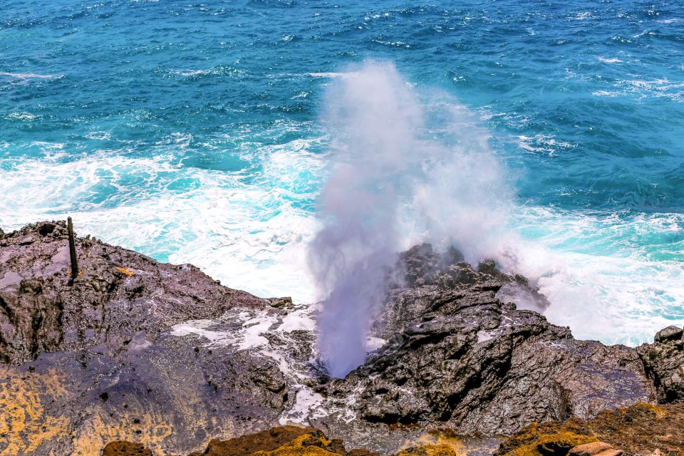 Honolulu: Oahu Sights and Bites Circle Island Foodie Tour - Key Highlights You’ll Feel Immediately