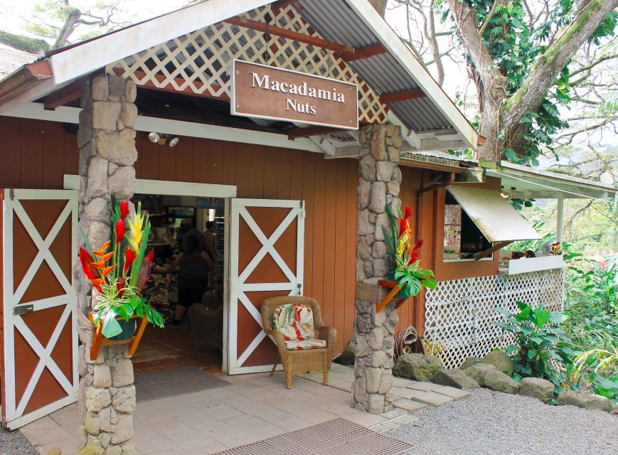 Honolulu: Oahu Sights and Bites Circle Island Foodie Tour - Fruit Stand Sampler and Puaena Point Turtle-Watching Moment
