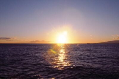 Honolulu: Pacific Star Sunset Dinner Cruise and Show - What you’ll eat: the Pacific Rim buffet, course by course