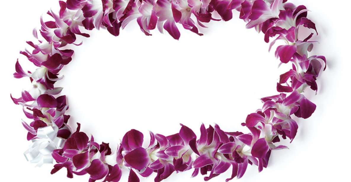 Honolulu: Private Airport Transfer with Arrival Lei Greeting - Key Things That Make This Transfer Worth It