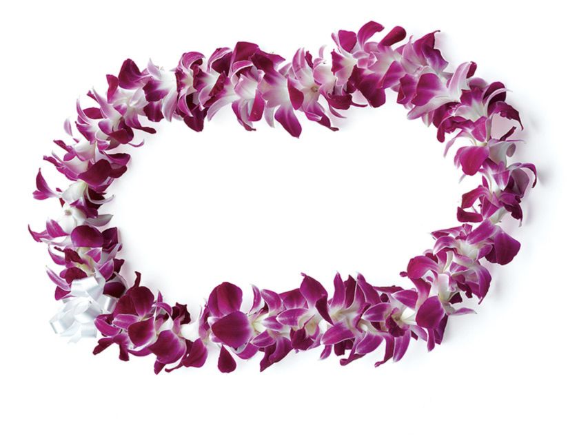 Honolulu: Private Airport Transfer with Arrival Lei Greeting - A Comfortable, English-Speaking Ride Into Waikiki