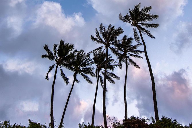 Honolulu Sea-Cliff with Sunset Photo Adventure - Value for $99.95: Why This Can Beat DIY