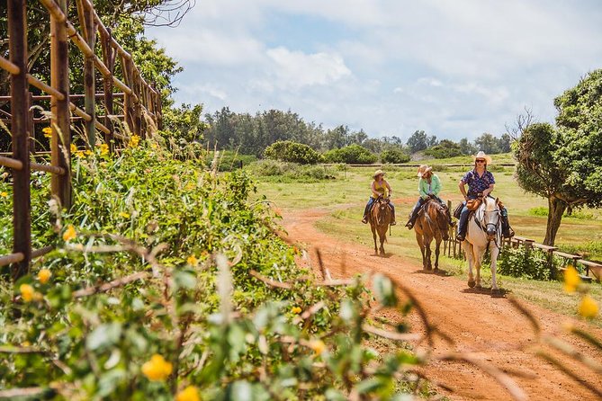 Horseback Ride Like an Authentic Paniolo in Kahuku - Gunstock Ranch and Kahuku: the north-shore ranch base