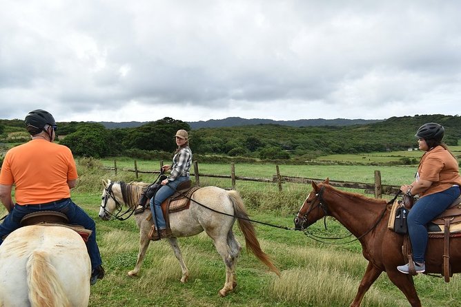 Horseback Ride Like an Authentic Paniolo in Kahuku - The 90-minute flow: from check-in to the trail’s up-and-out climb