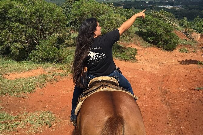 Horseback Ride Like an Authentic Paniolo in Kahuku - Gunstock Ranch scenery: pastures, forest shade, and the lookout payoff