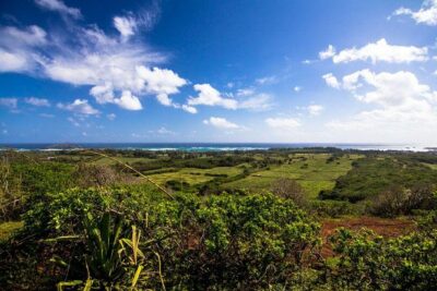 Horseback Ride Like an Authentic Paniolo in Kahuku - The guide experience: stories, ranch facts, and names you might hear