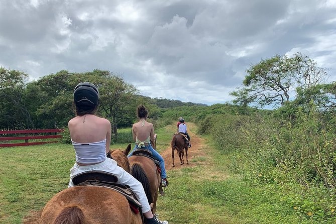 Horseback Ride Like an Authentic Paniolo in Kahuku - Who this tour is best for (and who might want another option)