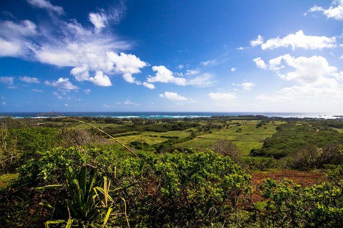 Horseback Ride Like an Authentic Paniolo in Kahuku - The guide experience: stories, ranch facts, and names you might hear