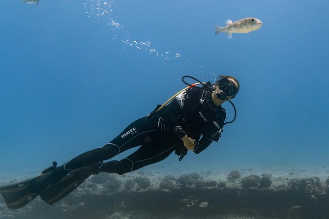 Incredibly Fun Coral Reef Giant Sea Turtles 4hour Boat Scuba Tour - Where You Start: 424 Nāhua St and the Route Around Oahu