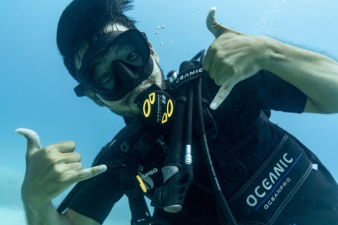 Incredibly Fun Coral Reef Giant Sea Turtles 4hour Boat Scuba Tour - The Pre-Water Training: What You Learn First