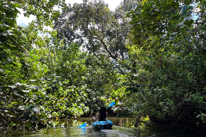 Kahana Bay River to Ocean: Kayak and Stand Up Paddle Board Rental - Key things that make this rental worth your time