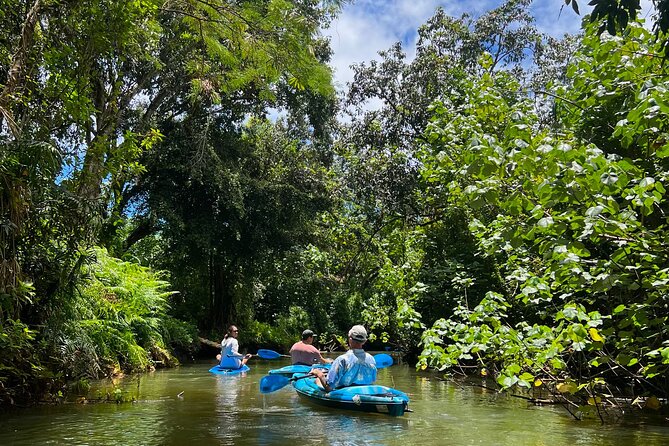 Kahana Bay River to Ocean: Kayak and Stand Up Paddle Board Rental - Price and value: is $79 per person actually fair?