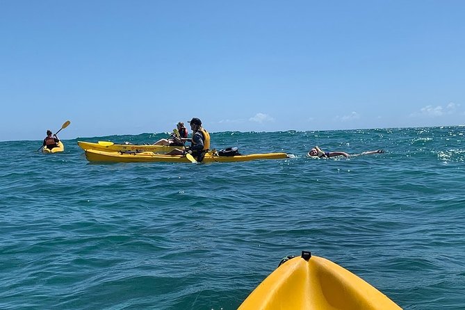 Kailua 2-Hour Guided Kayaking Excursion, Oahu - Lunch, snorkel time, boogie boards, and bikes after you paddle