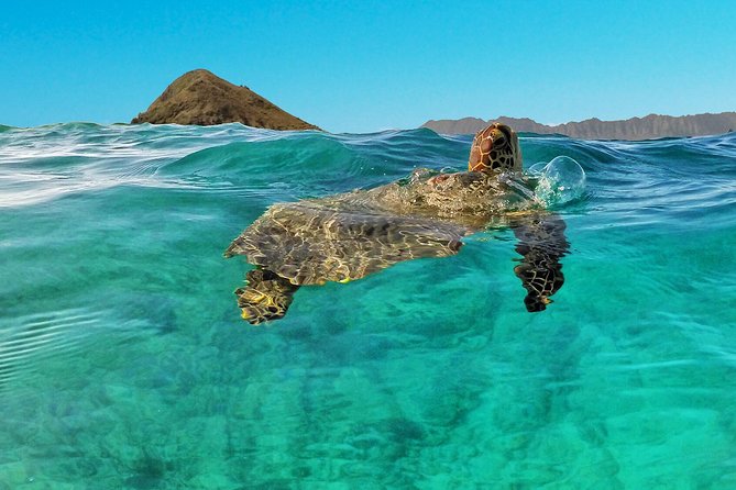 Kailua 2-Hour Guided Kayaking Excursion, Oahu - Paddle time to Flat Island/Popoia: what the outing feels like