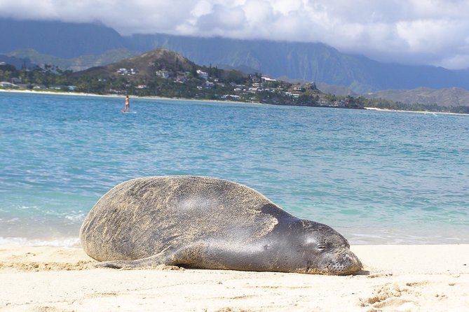 Kailua Bay, Oahu: Epic Kayak and Snorkel to Islands - Lunch on the Beach: Why It Works After Paddling