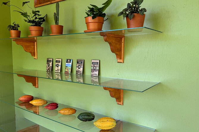 Kamananui Cacao Orchard Tour - From Pods to Chocolate: What the Guide Points Out Along the Way