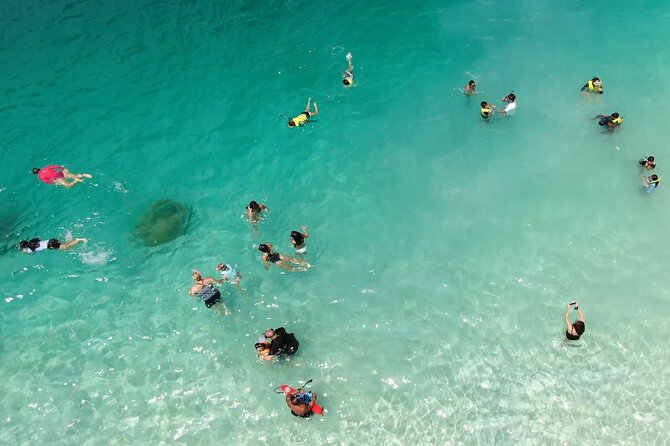 Kaneohe Sandbar Snorkeling Tour - 1st Tour - Stop 2: guided snorkeling, turtles, and paddleboarding in the lagoon