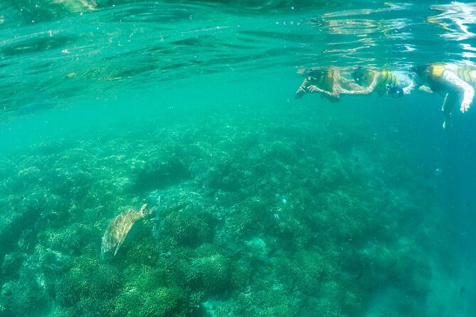 Kaneohe Sandbar Snorkeling Tour - 1st Tour - Stop 3: heading back to He’eia Kea with time to decompress