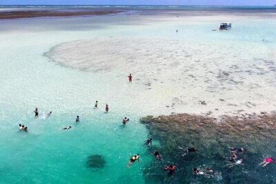 Kaneohe Sandbar Snorkeling Tour - 2nd Tour - The main swim window: 2 hours at the sandbar