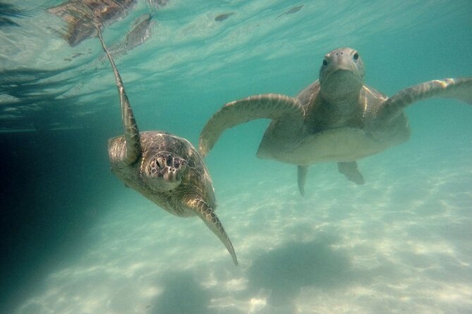 Kaneohe Sandbar Snorkeling Tour - 2nd Tour - Paddle boarding and water toys: the easy add-on that sells the tour
