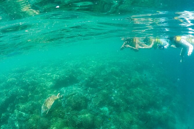 Kaneohe Sandbar Snorkeling Tour - 2nd Tour - Food, cooler space, and what to bring for a comfy afternoon