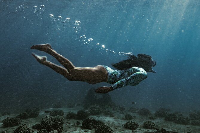 Kayak, Snorkel, and Surf with Turtles in Honolulu - Turtle Canyon snorkeling: the main event for green sea turtles