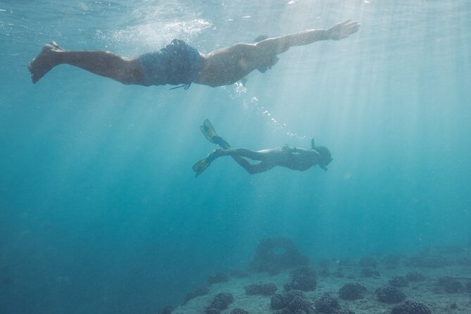 Kayak, Snorkel, and Surf with Turtles in Honolulu - The surfing finale: coaching that helps first-timers stand