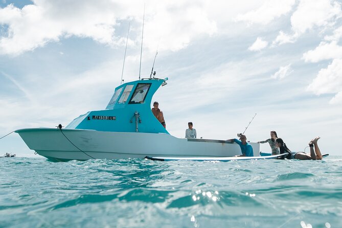 Kayak, Snorkel, and Surf with Turtles in Honolulu - From Waikiki shores: kayaking or SUP over reefs and wildlife