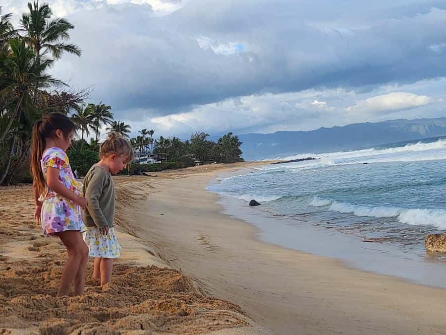 Kevo's Beach Bus - A 1-day North Shore hit: turtles, coffee, and iconic beaches
