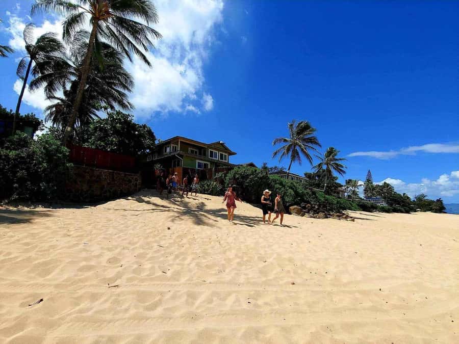 Kevo's Beach Bus - Pipeline Beach: winter surf spectacle or calm swim time