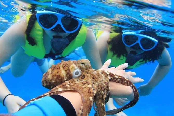 Ko Olina Catamaran Sail and Snorkel with Lunch - The 53-foot catamaran: deck comfort, space, and a stocked bar