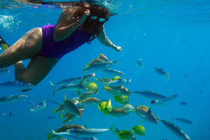 Ko Olina Catamaran Sail and Snorkel with Lunch - Lunch on the water: what’s included and how to time your eating